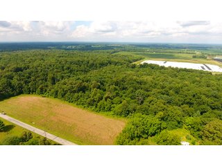 TRACT 26 - ILLINOIS LAND AUCTION - 4,810+/- ACRES OFFERED IN 85 TRACTS IN FRANKLIN, WILLIAMSON, HAMILTON & SALINE COUNTIES, ILLINOIS